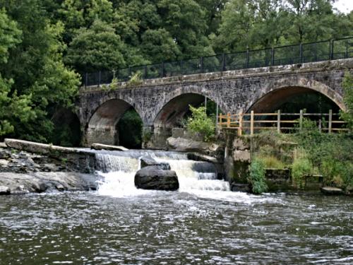 The River Torridge and future conservation plans