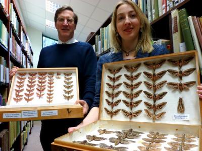 Insect collection donated to RAMM