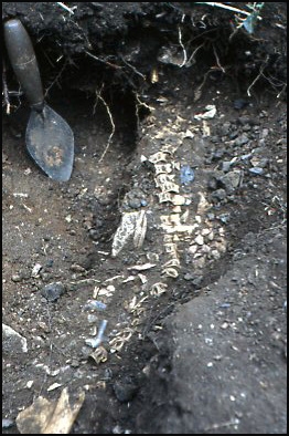 Archaeological evidence of fish in the diet of the Berry Head garrison