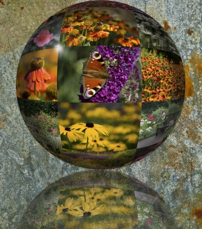 Rosemoor Globe by Sue James