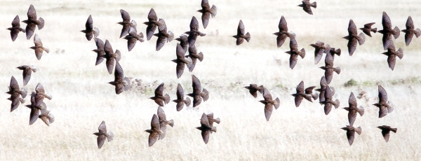 Results for 2015 North Devon Heritage Photographic Competition