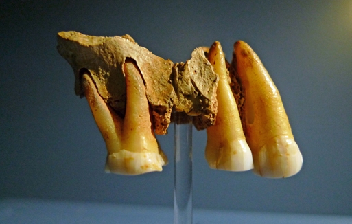 Torquay Museum Is Awarded Designated Status