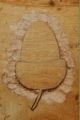 Heart of Oak workshops