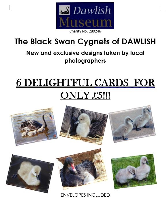New Greetings Cards Launched !