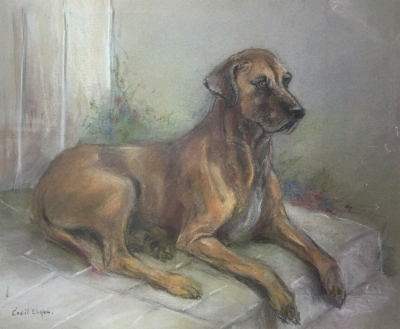 Great Dane - watercolour
