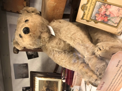 Mary Drewe's childhood teddybear