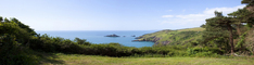 Coleton Fishacre Sponsor