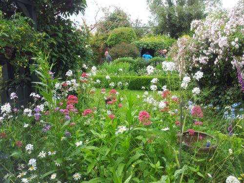 Topsham Secret Gardens June 11th 2023