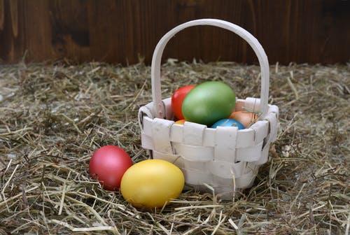 Easter Egg Hunt at The Grove in aid of Exmouth Museum