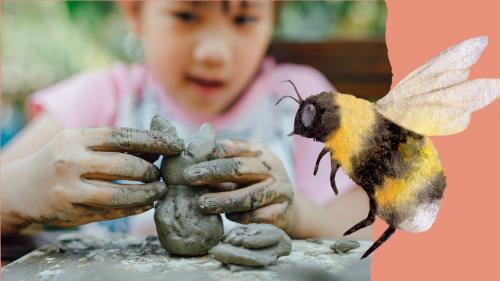 Powerful pollinators! A wild at RAMM bee day