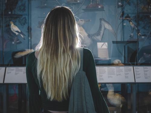 Guided mindfulness: Ways of Seeing