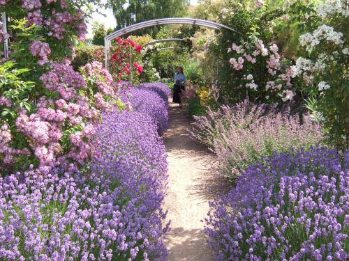 Lunchtime Lecture, Gardens of Devon