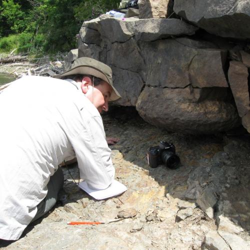 Exploring the newly discovered fossil forests of the North Coast of Devon and Somerset   with Dr Berry