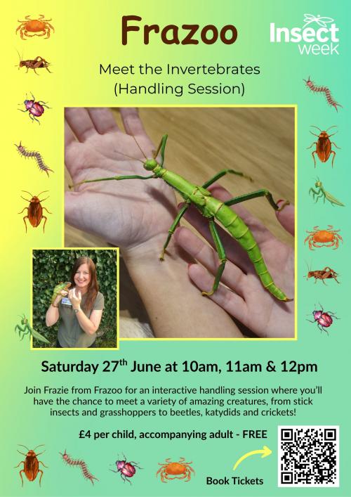 Frazoo: Meet the Invertebrates (Handling Session)