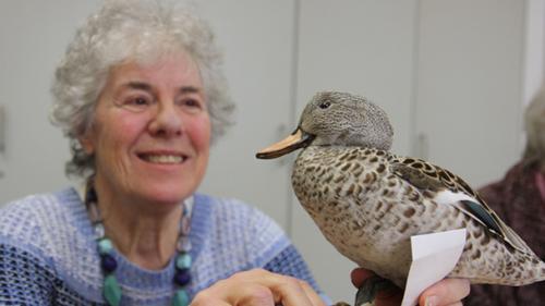 Dementia friendly object handling session: winter