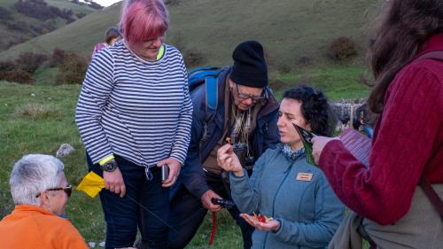 Plantlife Walk at Ludwell Valley Park