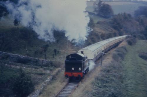 50th Anniversary Special Show