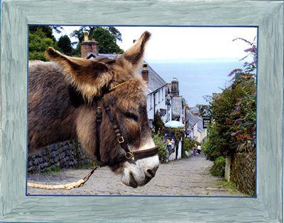 North Devon in Photographs