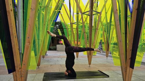Summer Solstice Yoga Flow with Jules Laville