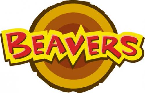 2nd Tiverton Beaver Scouts at the museum