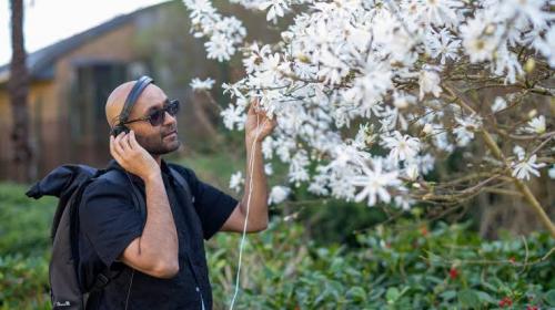 The Intelligence Below: New ways of listening to the natural world