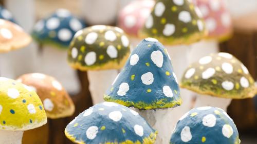 Mushroom Magic  Build a Woodland Dwelling