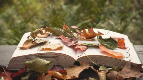 Nature and the Wild Storytelling