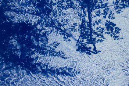 Stilled Time: movements and cycles within the Dartmoor landscape and beyond