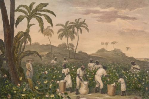 Slaving, Enslavement and the Black presence in Devon   Dr Todd Gray MBE