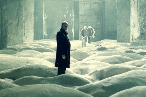 STALKER (PG)  Presented by Radical Ecology