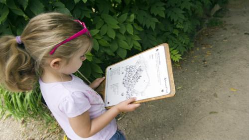 February half term fun