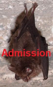 Buy  Image