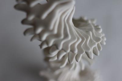 Beyond Barriers: Diverse Threads of Resilience