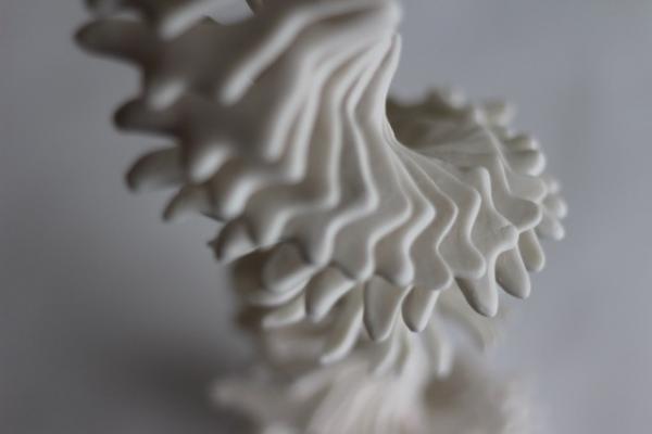 Beyond Barriers: Diverse Threads of Resilience