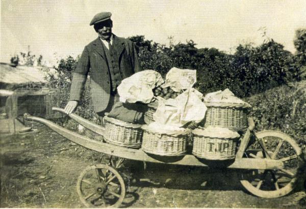 Market Gardening in Topsham