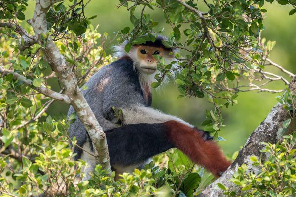 Wildlife Photographer of the Year