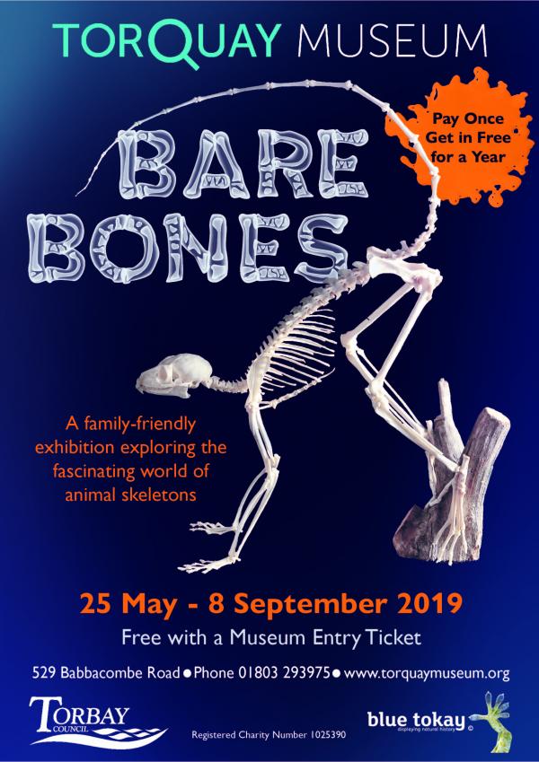 Bare Bones