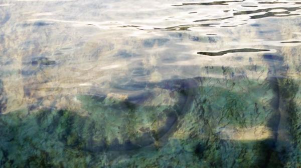 Carolyn Lefley: Ancient Sea
