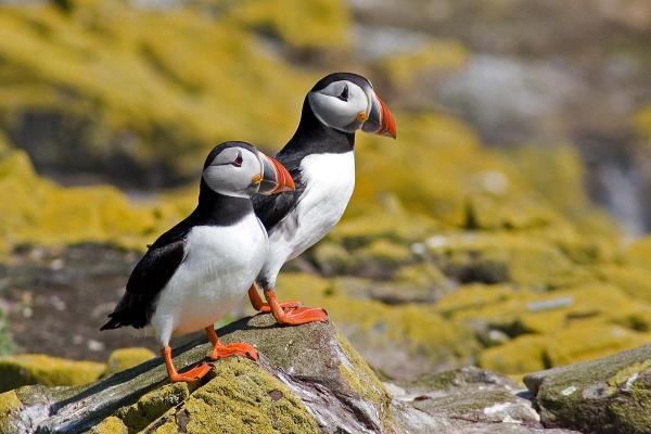 Photographs by Barnstaple Camera Club
