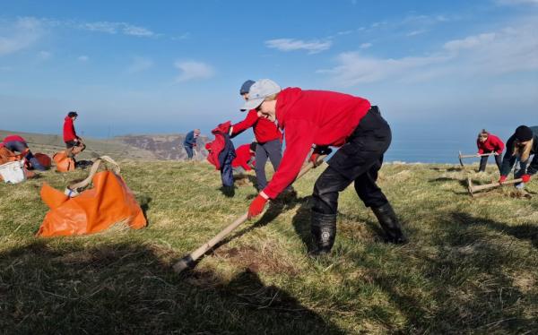 National Trust  A Living Landscape: New Beginnings at Kipscombe