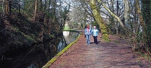 The Bicentenary of the Tavistock Canal