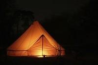 Camping in Torre Abbey Gardens