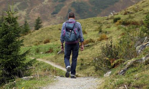 Plant lore on the moor: Dartmoor walk