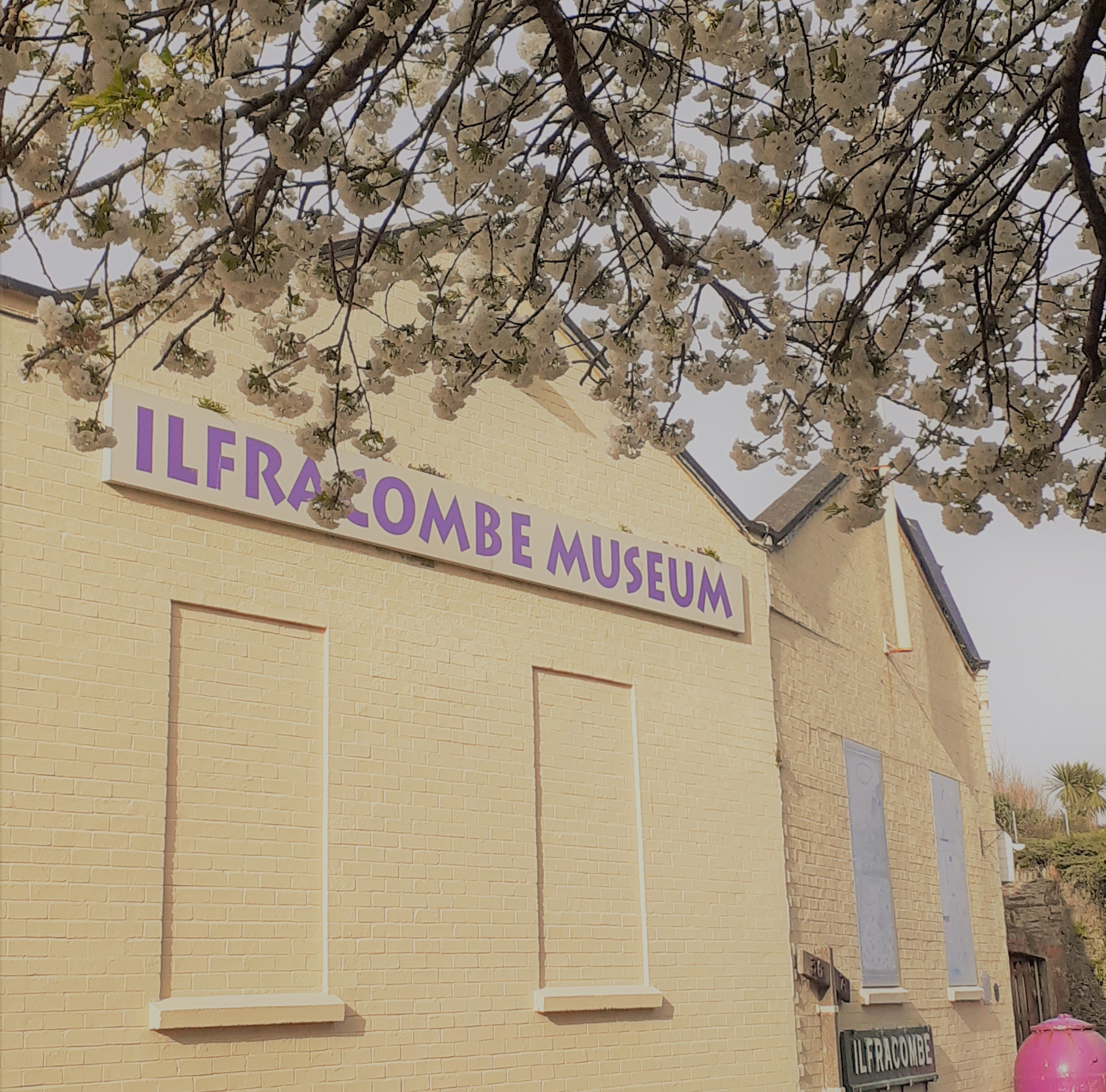 Ilfracombe Museum