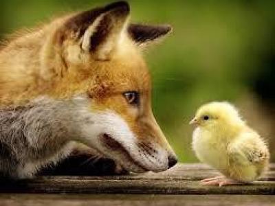 Children's Easter Trail