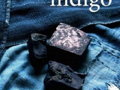 Winter Lecture:  Exploring the Indigo Trail