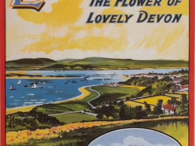 Finance Lead needed for Exmouth Museum